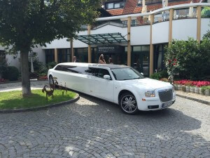 stretchlimousine mieten Wien geburtstag